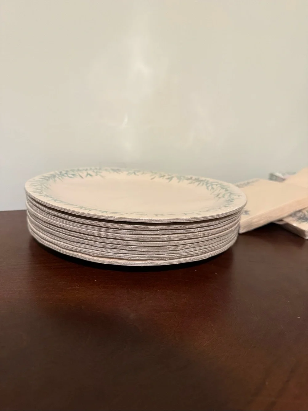 Pier 1 Cream 9” Dinner Plates w/ Green Leaf Border & Matching Napkins Disposabl